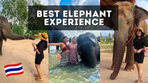 PATTAYA ETHICAL ELEPHANT SANCTUARY (L)