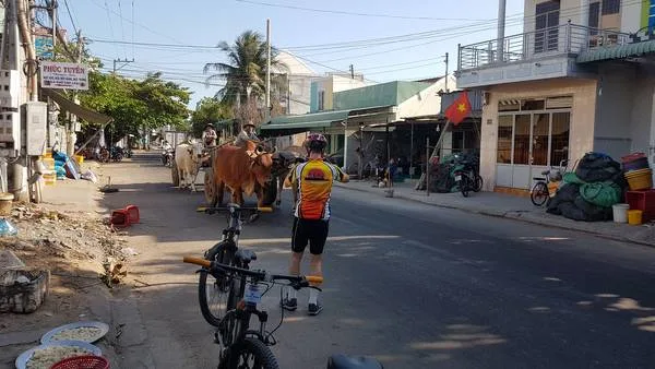 10 Days Southern India - Karala Cycling Holidays