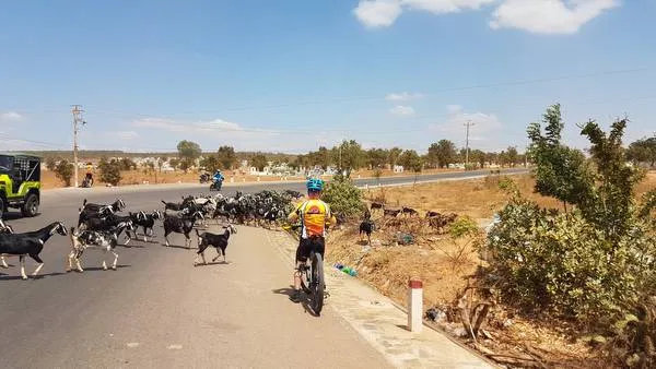 20 Days Northern Cycling To The Southern Vietnam