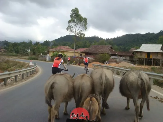 9 days Vietnam Loop Cycling Holiday
