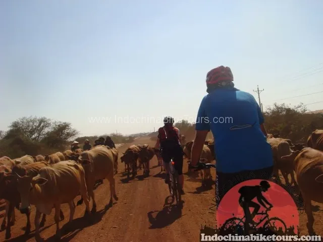 13 Days Cycling To Central Highland Of Vietnam