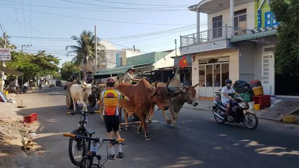 14 Days Bike To Bohol, Leyte & Camiguin