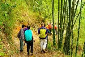 Doi Inthanon trekking tour 2 days/1 night
